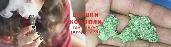 дживик Кинешма
