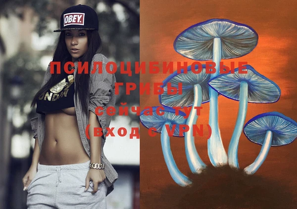ГАЛЛЮЦИНОГЕННЫЕ ГРИБЫ Киренск