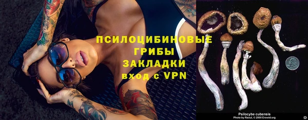 мяу мяу мука Ленинск-Кузнецкий