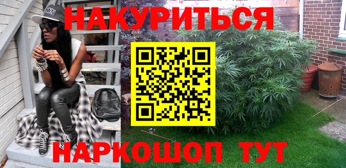 Конопля планчик Стрежевой